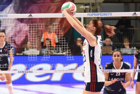 Un mercoledì da leoni