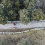 0094_malcesine-montebaldoDJI_0659
