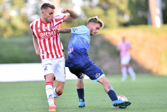 L’AlbinoLeffe si affida al contropiede. Al gol di Manconi il Vicenza risponde con Dalmonte AlbinoLeffe-Vicenza
