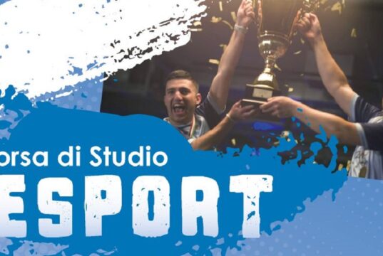 Borsa di Studio negli USA