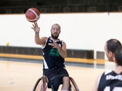 Basket in carrozzina