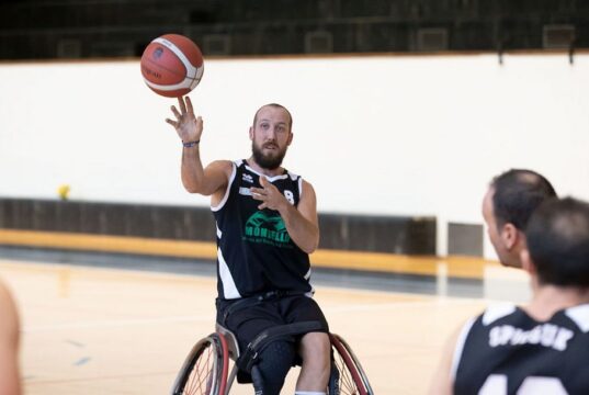 Basket in carrozzina