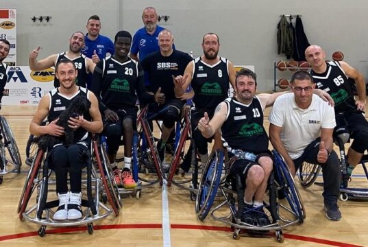 Basket in carrozzina