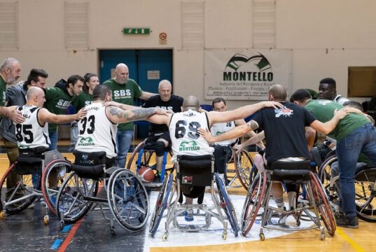 Basket in carrozzina