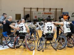 Basket in carrozzina