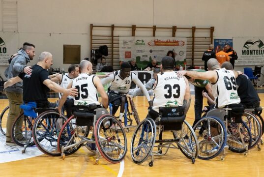 Basket in carrozzina
