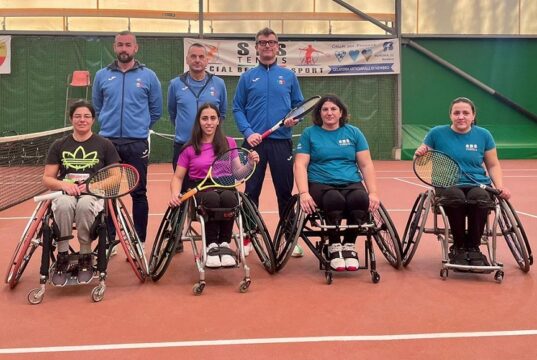 Basket in carrozzina