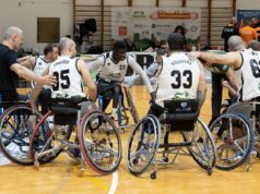 Basket in carrozzina