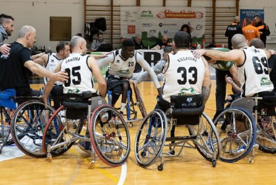 Basket in carrozzina