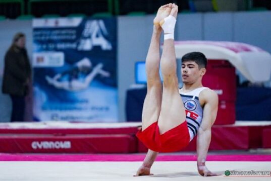 Ginnastica artistica