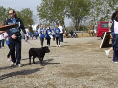 Camminata campestre