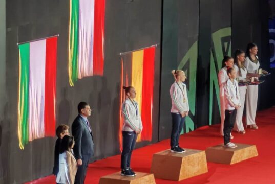 Ginnastica artistica