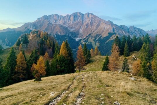 Sportumanza