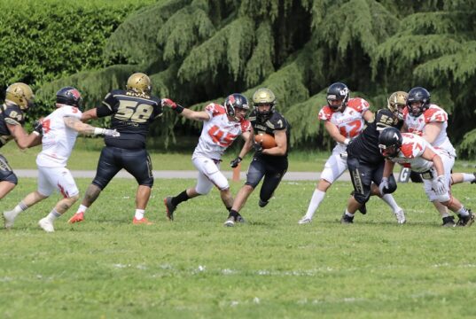 Lions Bergamo