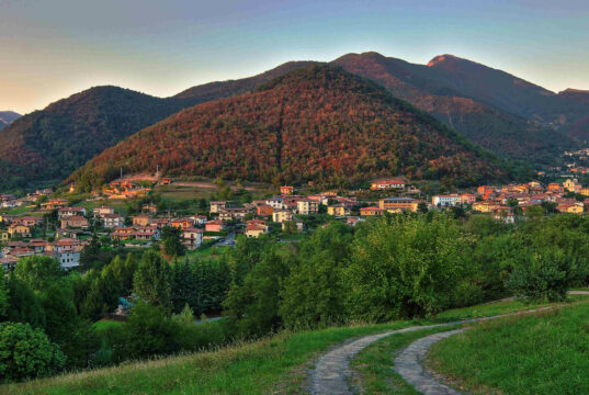 Viadanica