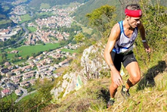 Sapèl Né UP & DOWN