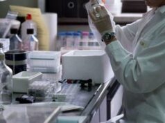 Sla e sclerosi multipla, cellule cerebrali staminali come farmaco: speranze da Italia