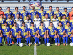 Serie D