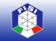 Logo Fisi