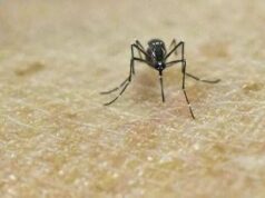 Chikungunya, vaccino in Italia dal 30 ottobre