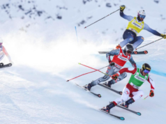 Coppa del Mondo skicross