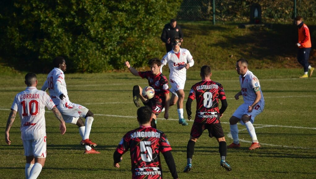 Real Calepina-Piacenza