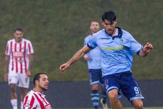 AlbinoLeffe-Vicenza