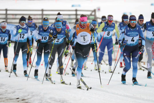 Fesa Cup