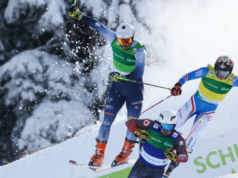 Coppa del Mondo skicross