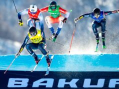 Coppa del Mondo skicross