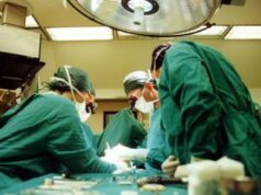 Trapianti, in Cina il primo di fegato da maiale su uomo