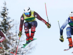 Coppa del Mondo skicross