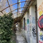 Consonno