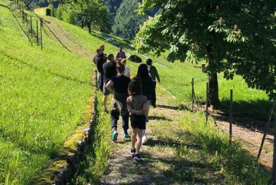 A passo lento: alla scoperta dei sapori e delle tradizioni dell’Alta Valle Brembana Le erbe del casaro