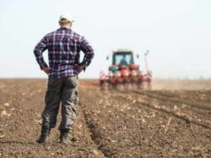 Gli offrono 700mila euro, ma un agricoltore rifiuta e non vende il suo terreno