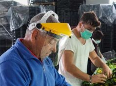 Inca Cgil: “In aumento neoplasie professionali, troppi lavoratori esposti a fattori cancerogeni”