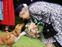 Dai Corgi di Elisabetta al Teckel di Margrethe, cani passione reale