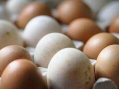 Epidemia di salmonella nel Regno Unito, 1 morto e oltre 200 casi: “Colpa delle uova importate”
