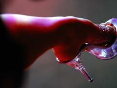 I 20 anni di Bergamo Sex fra club privé e pornodivi, all’evento hard anche Rocco Siffredi