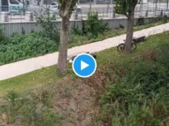 Parigi 2024, villaggio da incubo e si dorme sui prati: “Ma è Ceccon?” – Video