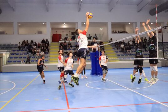 Volley