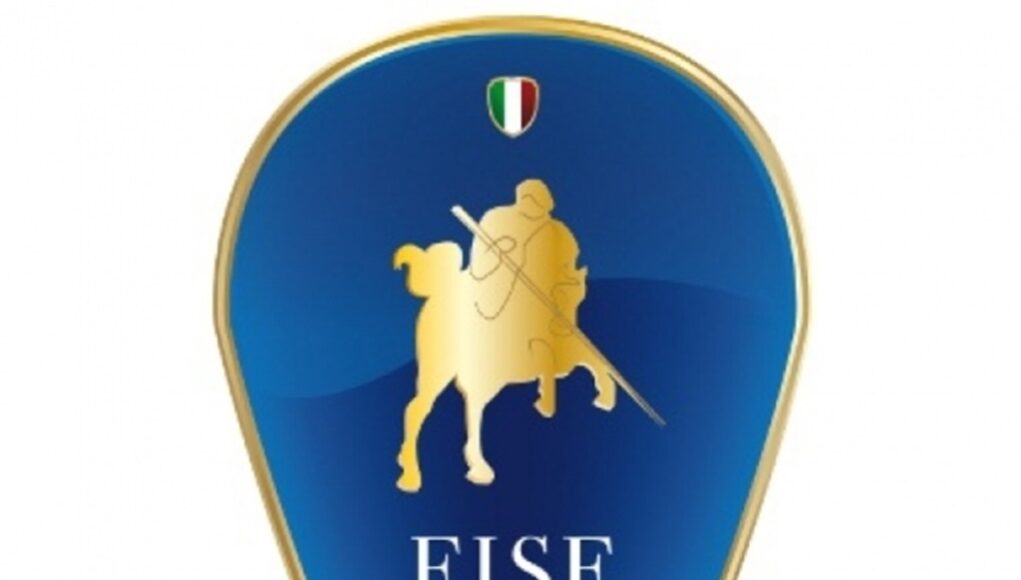 Logo Fise