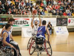 Basket in carrozzina