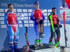 Coppa del Mondo skicross