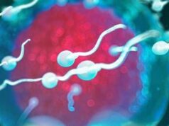 Sperma di qualità migliore, uomini più longevi: la scoperta nello studio danese