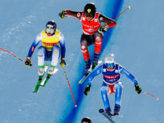 Coppa del Mondo skicross