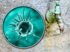 Malattie rare, Sitrac: “Non accessibile farmaco approvato in cheratite da Acanthamoeba”