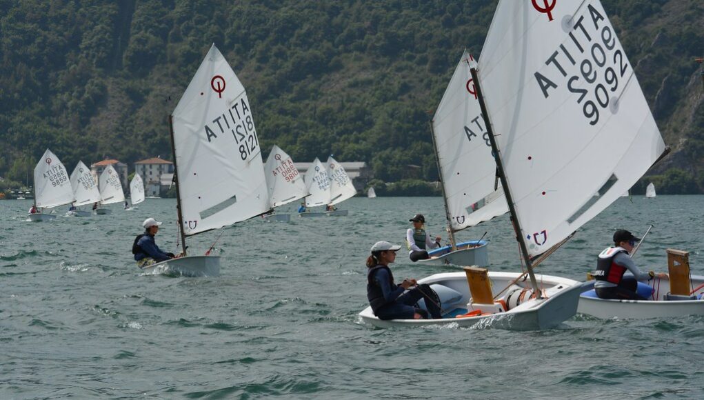 Optimist Avas