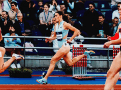 Elisa Valensin