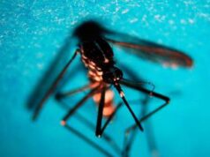 West Nile, caso di encefalite a Napoli. Rezza: “Sorveglianze bloccate, serve soluzione”